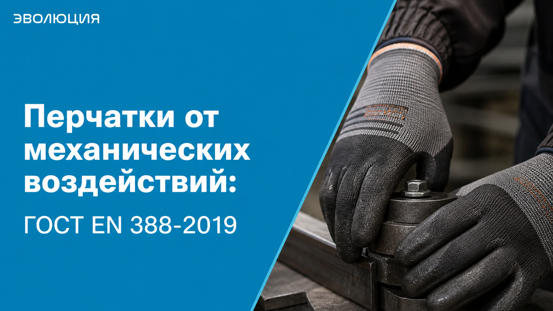 Перчатки от механических воздействий: ГОСТ EN 388-2019